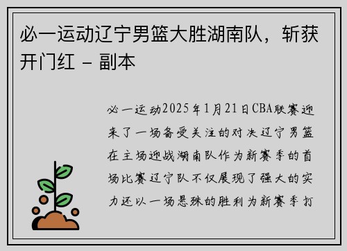 必一运动辽宁男篮大胜湖南队，斩获开门红 - 副本